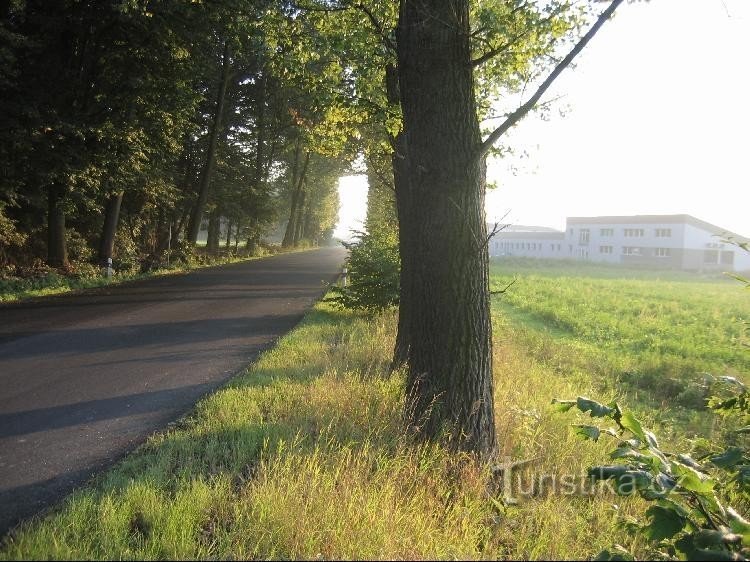 Straße: Straße in Richtung Suchdol, rechts ein Fabrikgebäude am Anfang von Suchdol