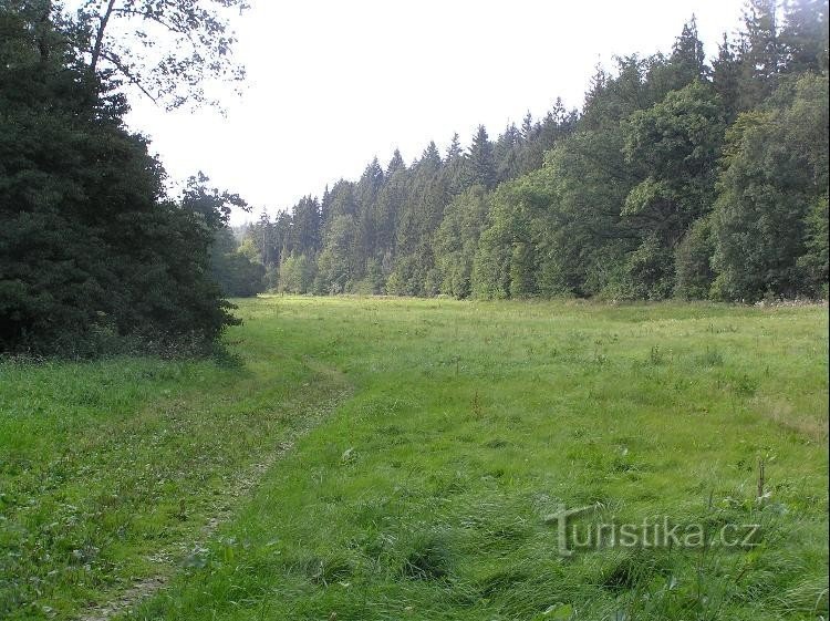 Path: The path towards the Sezina Valley