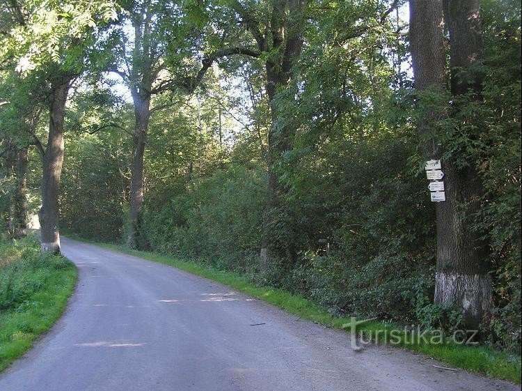 Route: Route vanuit Budišov, rond de wegwijzer