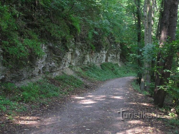 Estrada para o vale Babičč