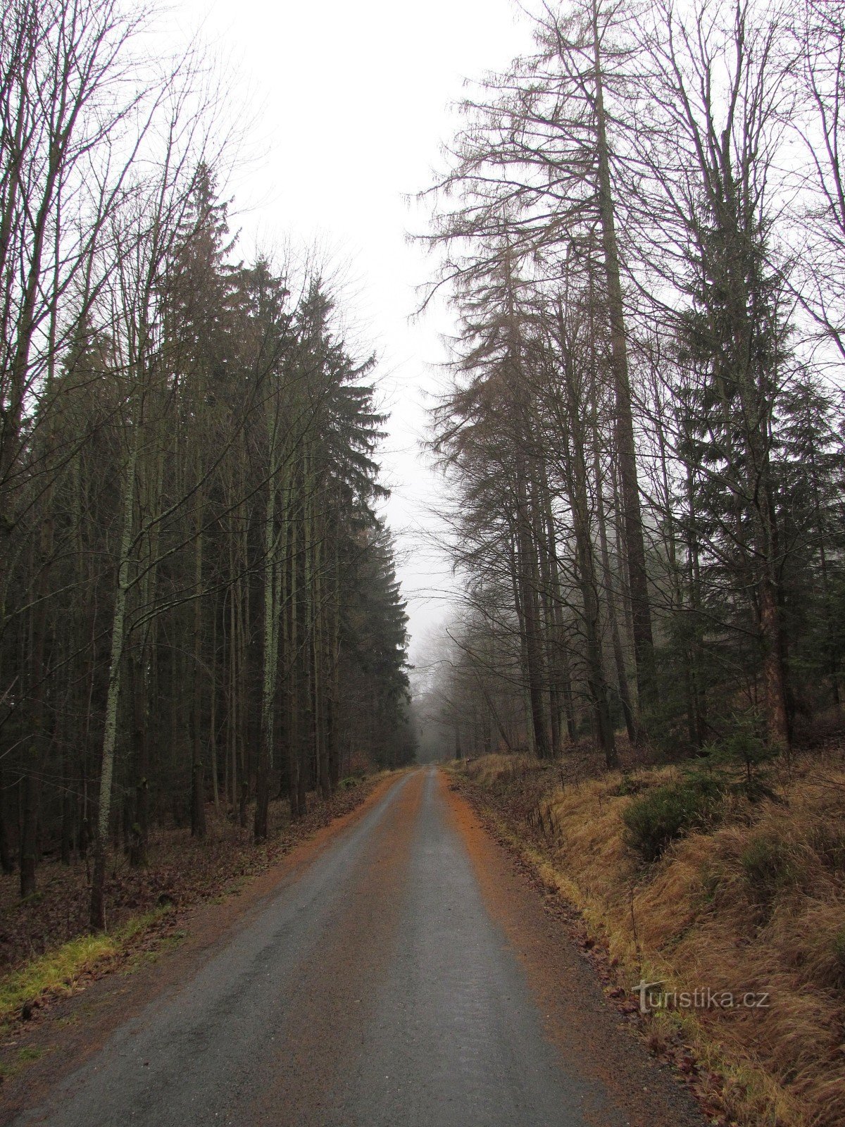 weg naar de bergen