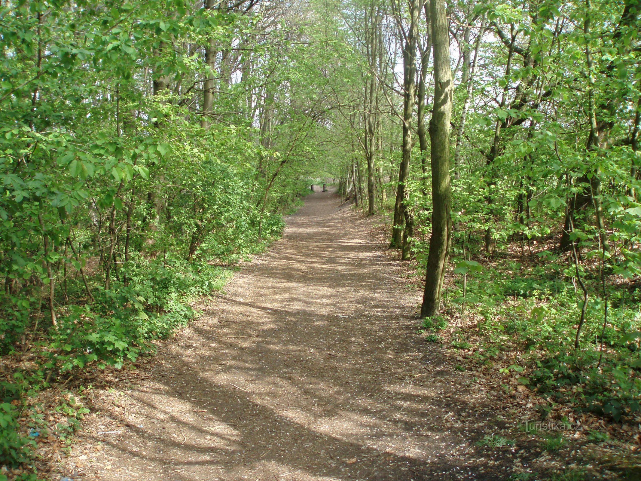 Route vers Hřebče