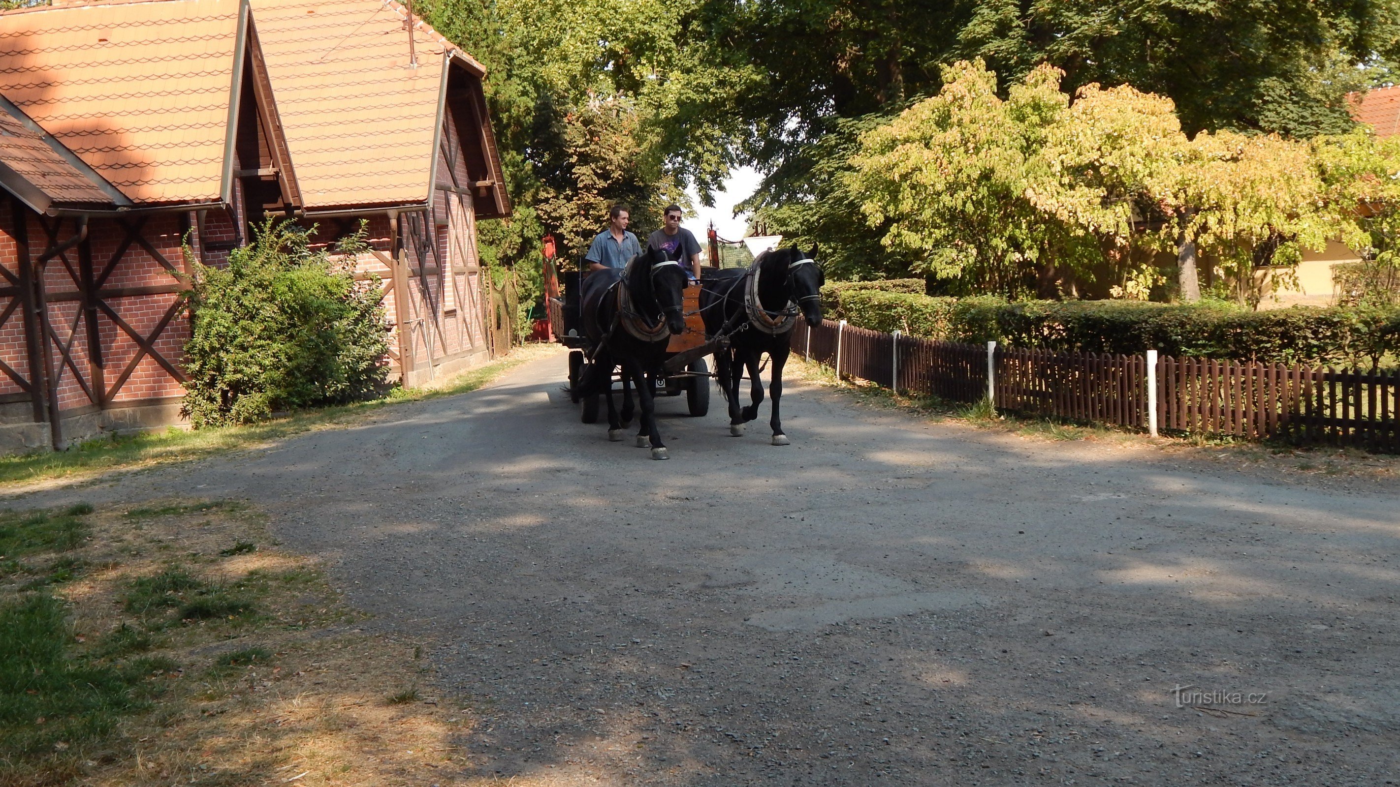 excursie la herghelia din Slatiňany