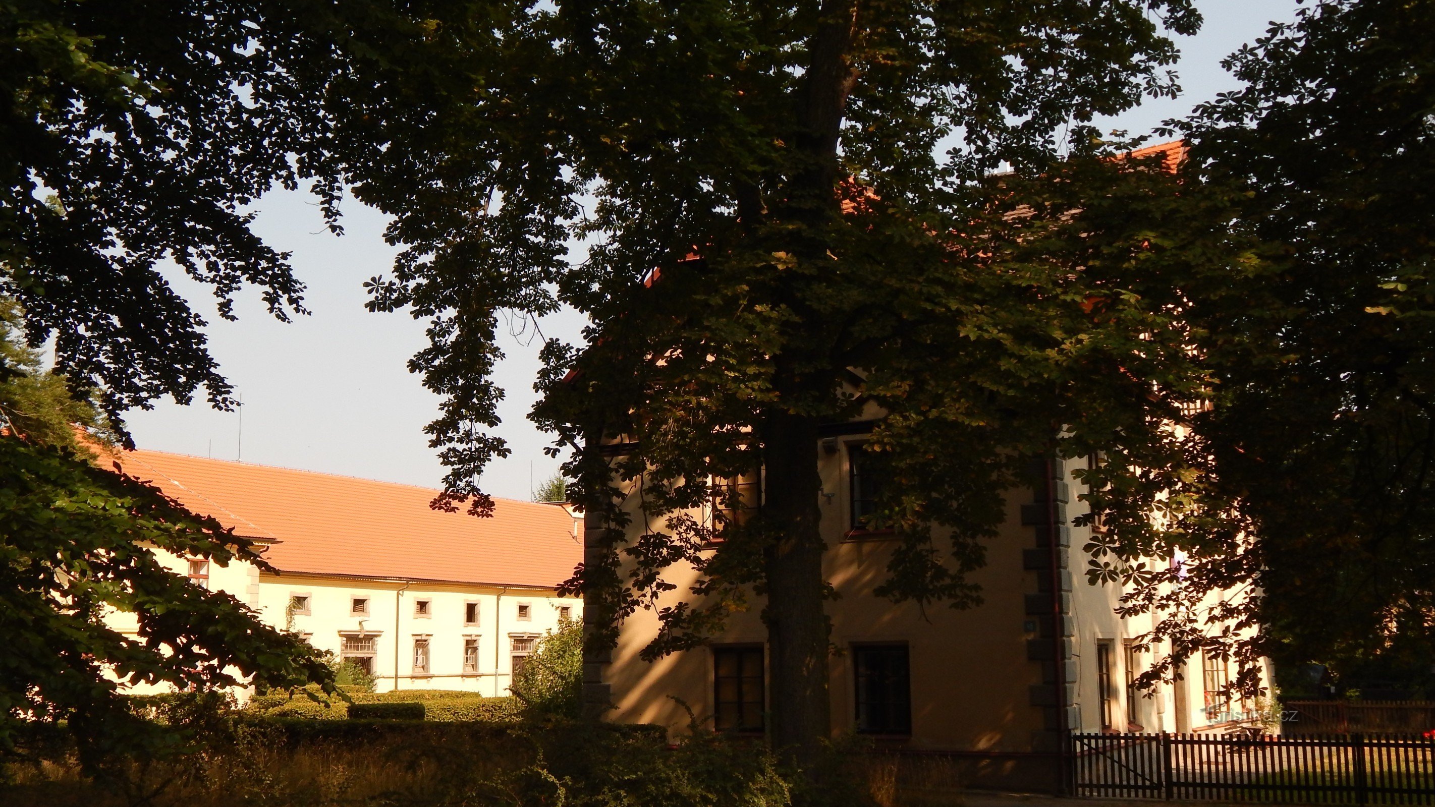 Ausflug zum Gestüt in Slatiňany