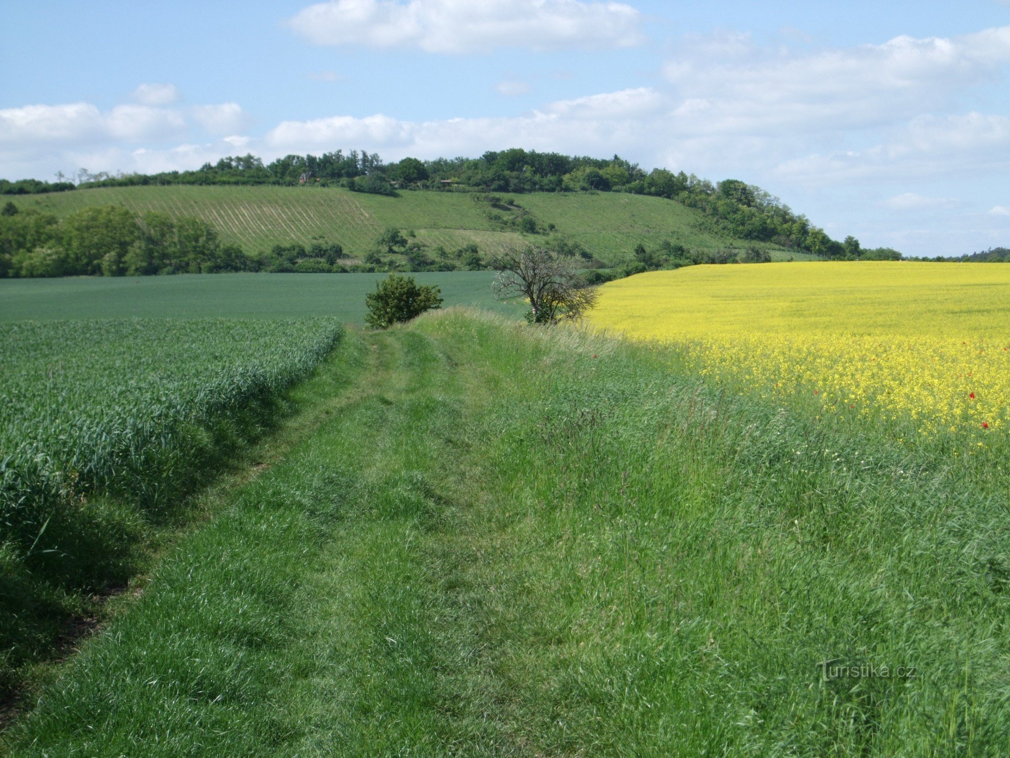 Straße nach Jeviněvsi