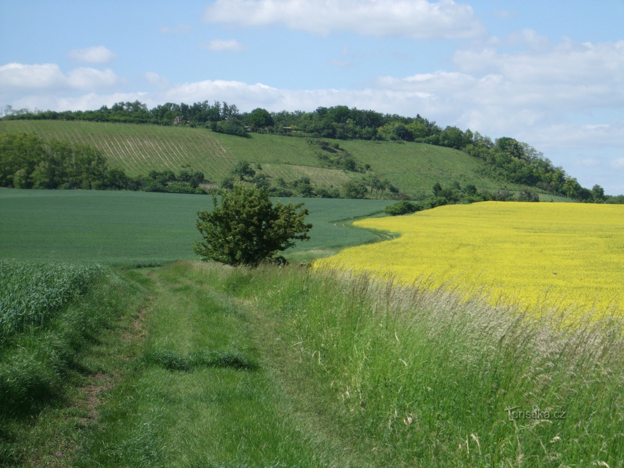 Straße nach Jeviněvsi