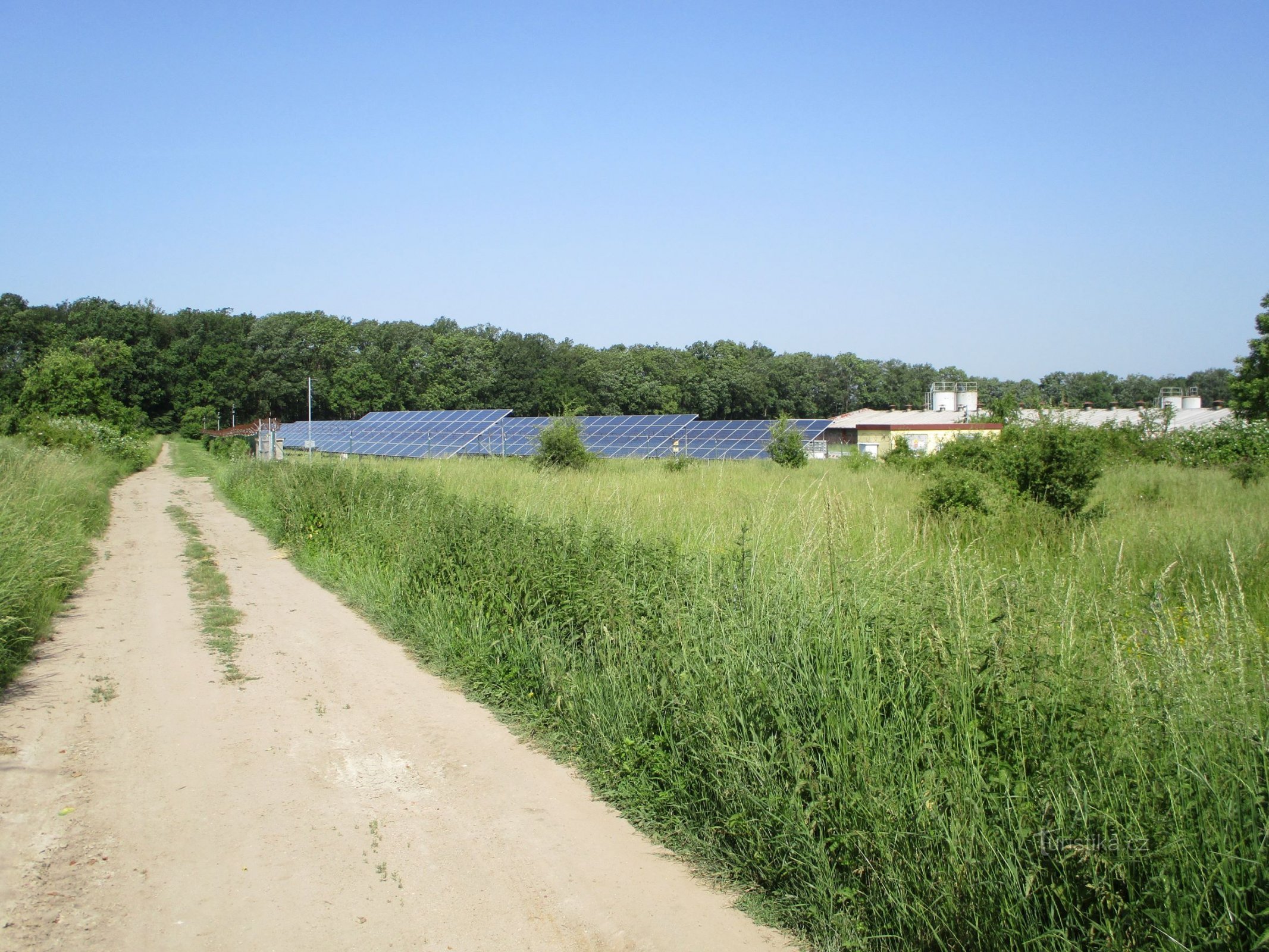 Die Straße nach Michnovka und das benachbarte landwirtschaftliche Gebiet (Dobřenice, 12.6.2019)