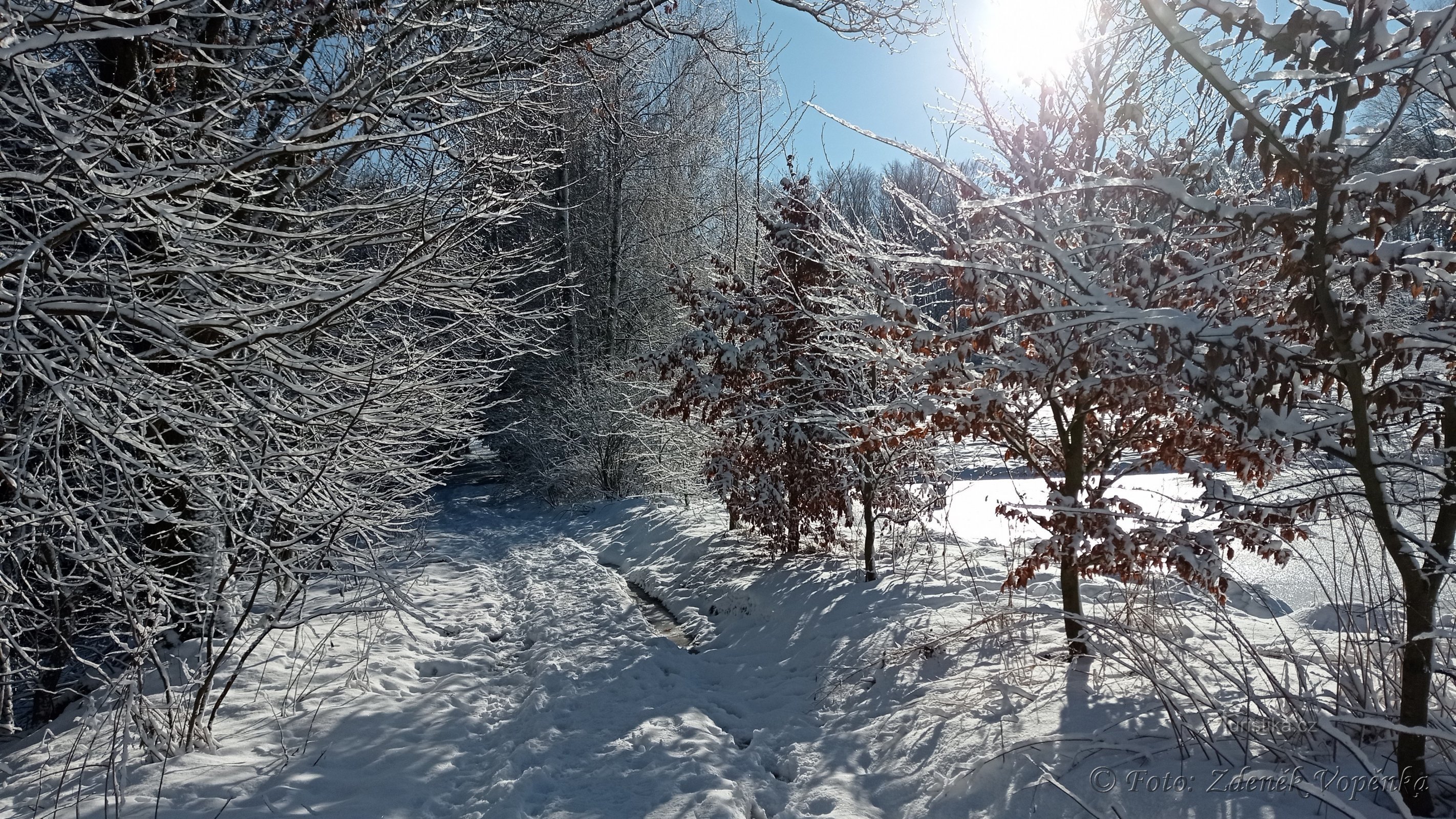 Cesta na Rejčkov.