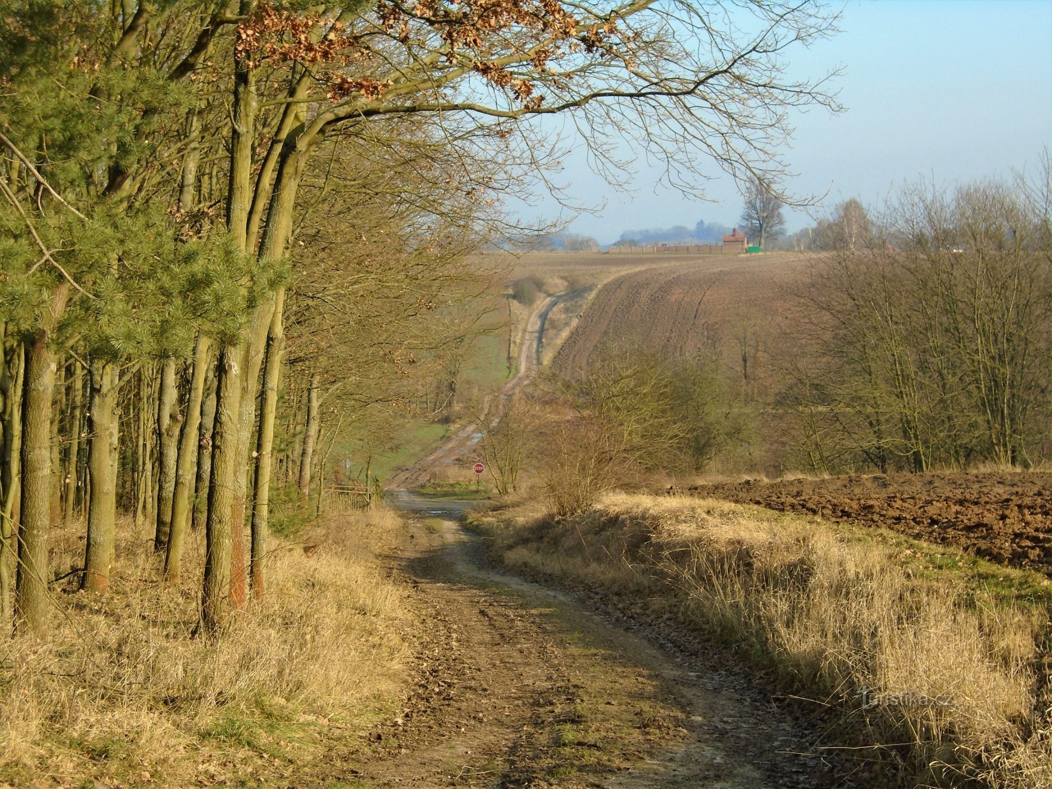 Rejsen til Rodov (Sendražice, 14.1.2018)