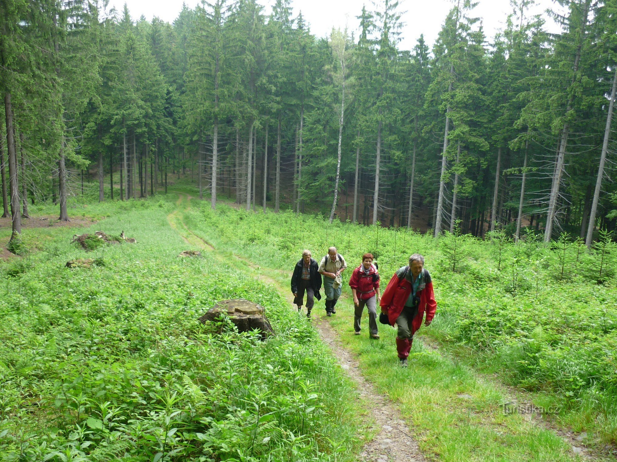 The way to the saddle of Gežov