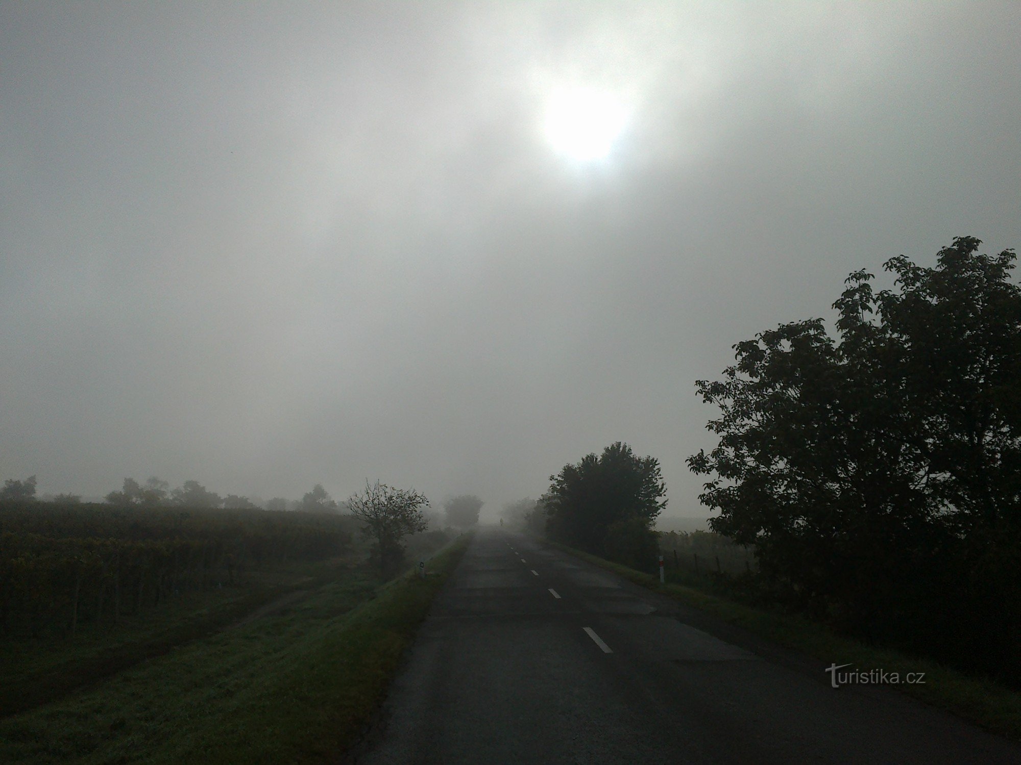 Strada per Vrbice.