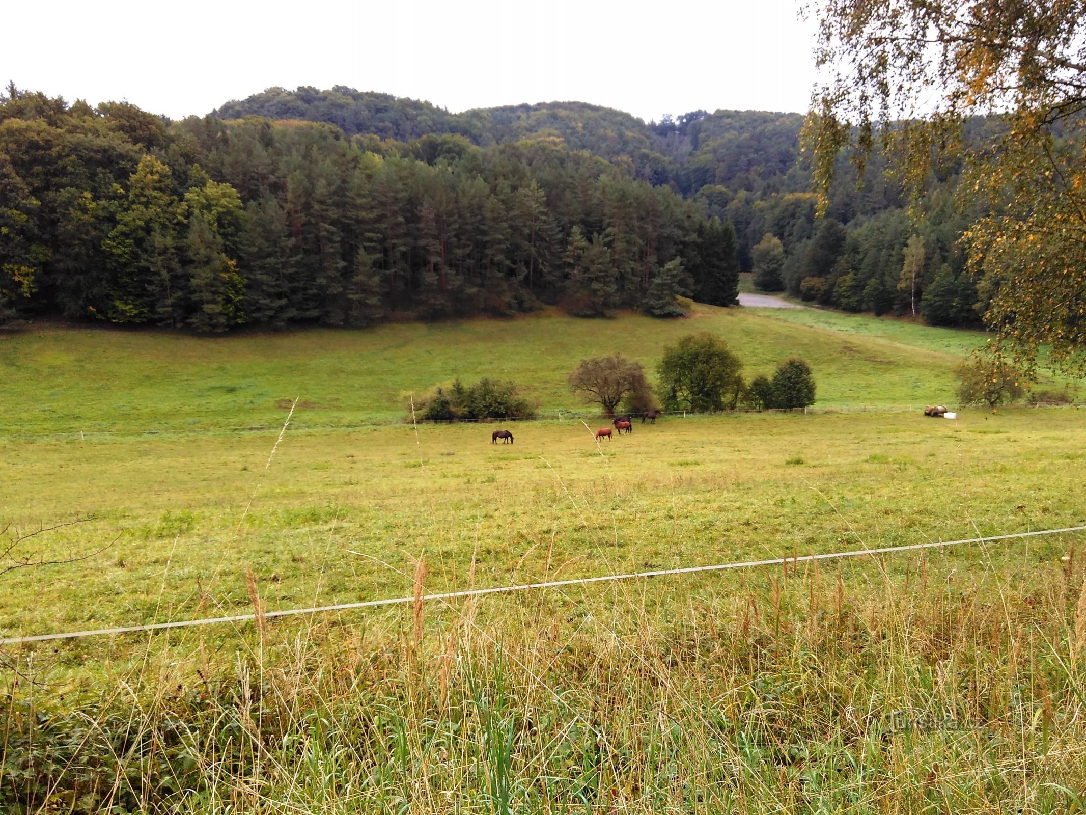 la route du village d'Osinalice