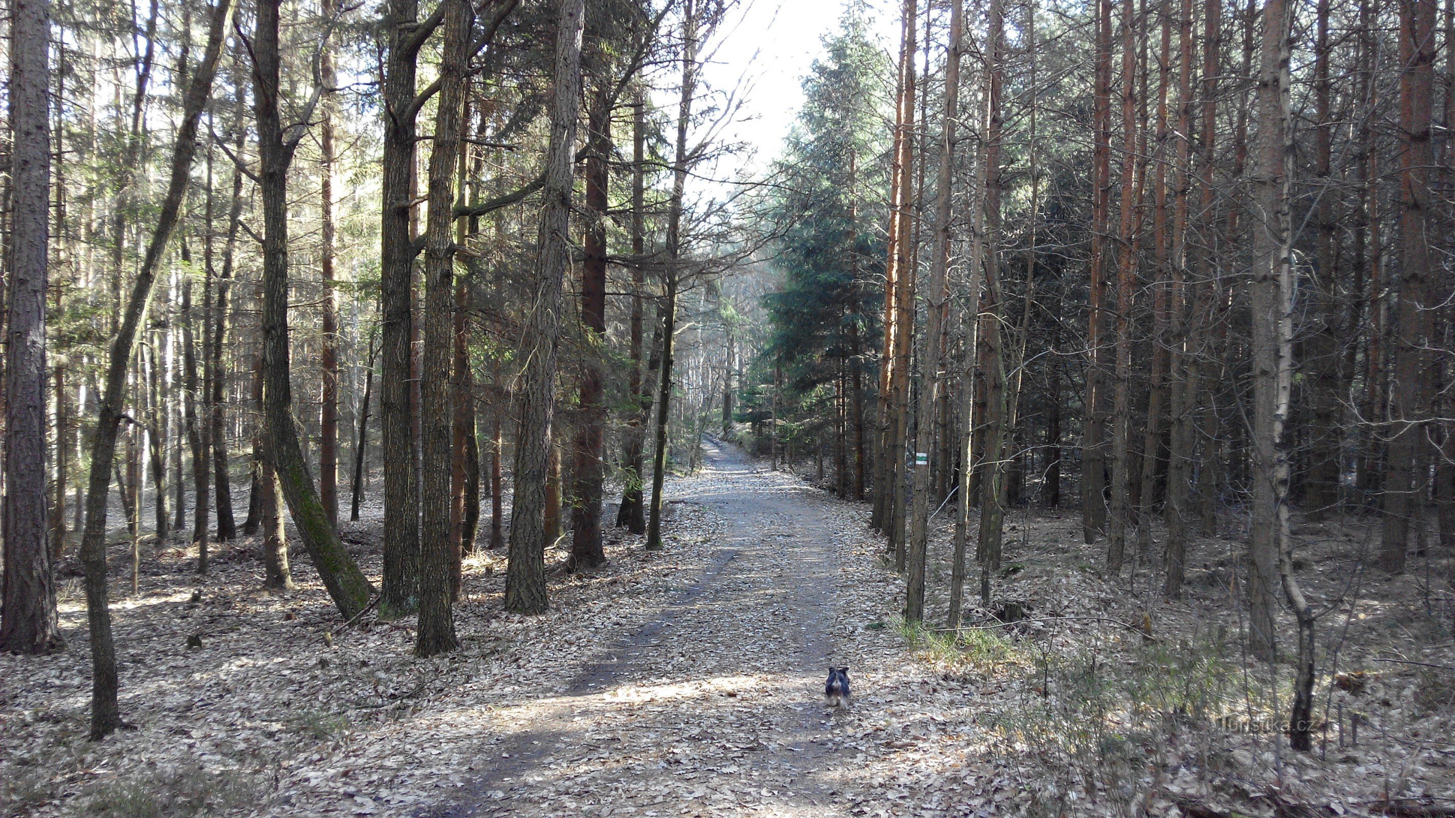 le chemin de la longue mine