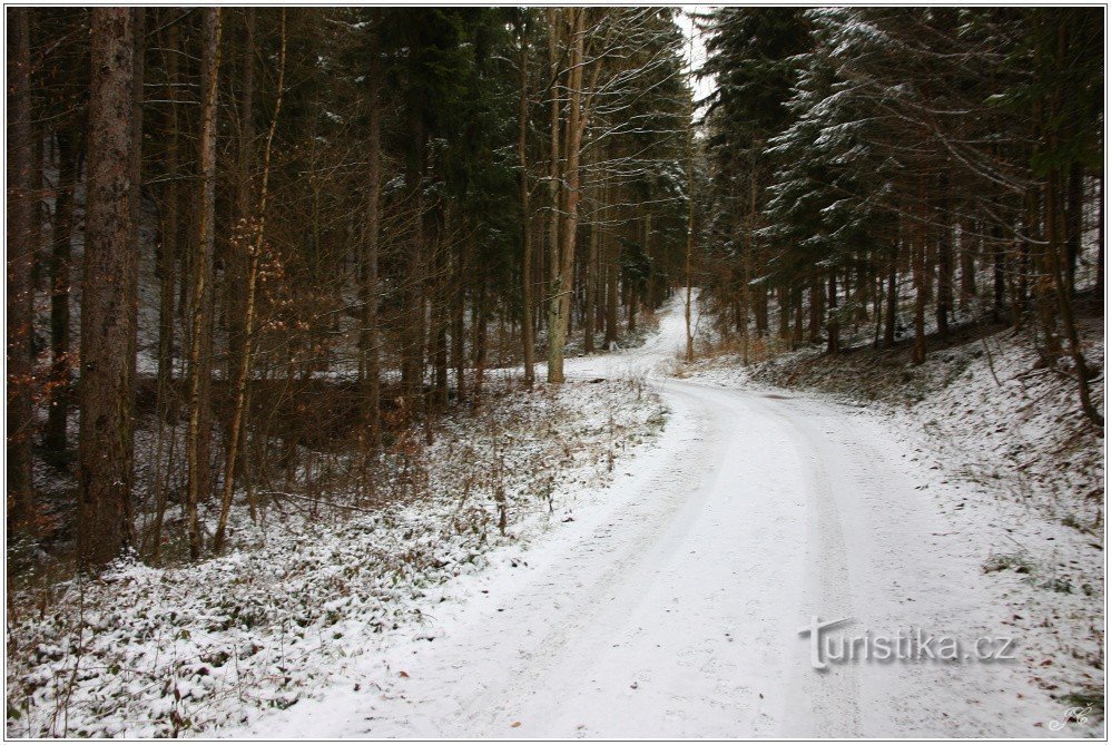 The path to the upper junction in a switchback