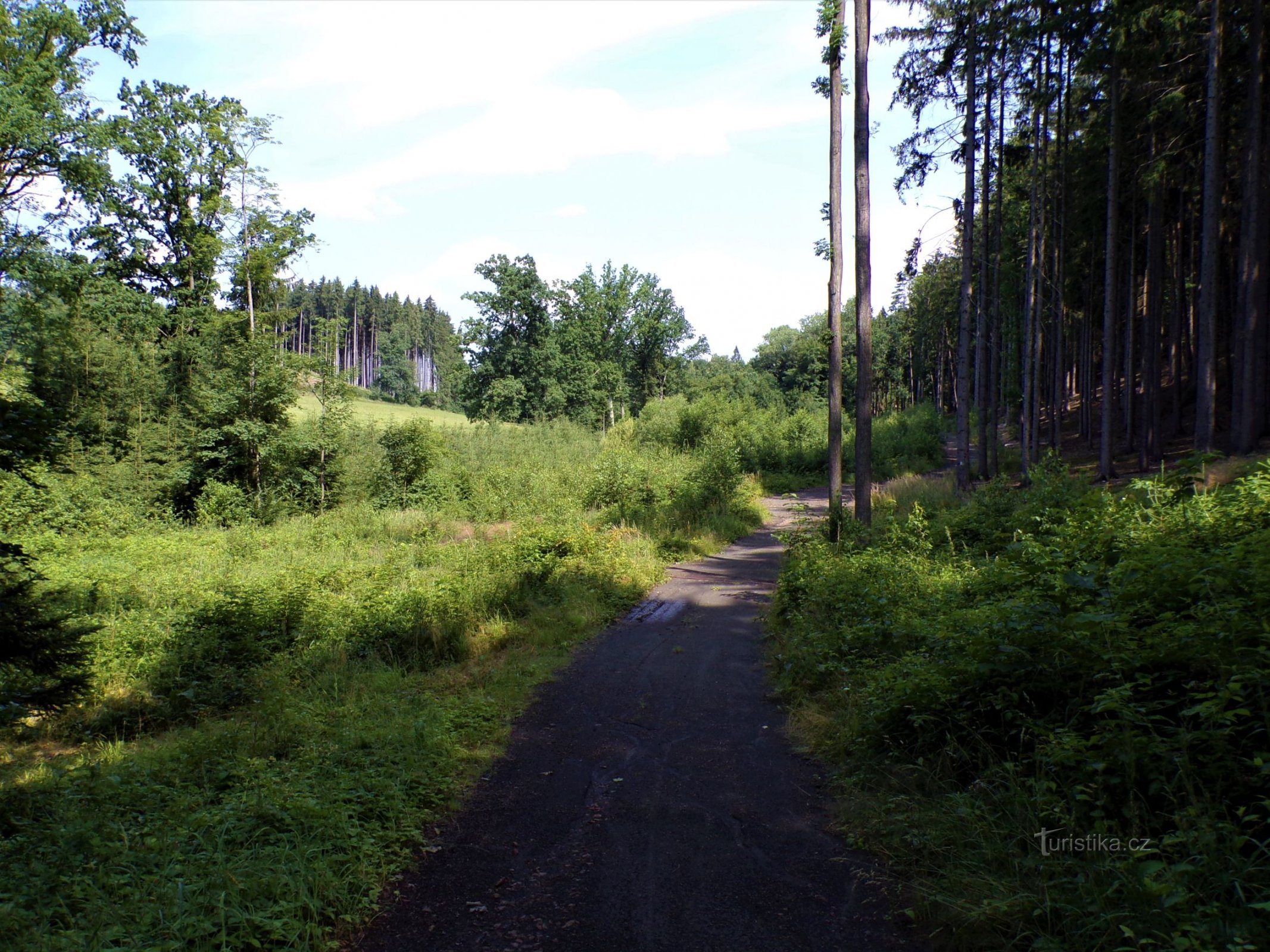 Der Weg zum Schwanenhals bei Chvalkovice (13.7.2021)