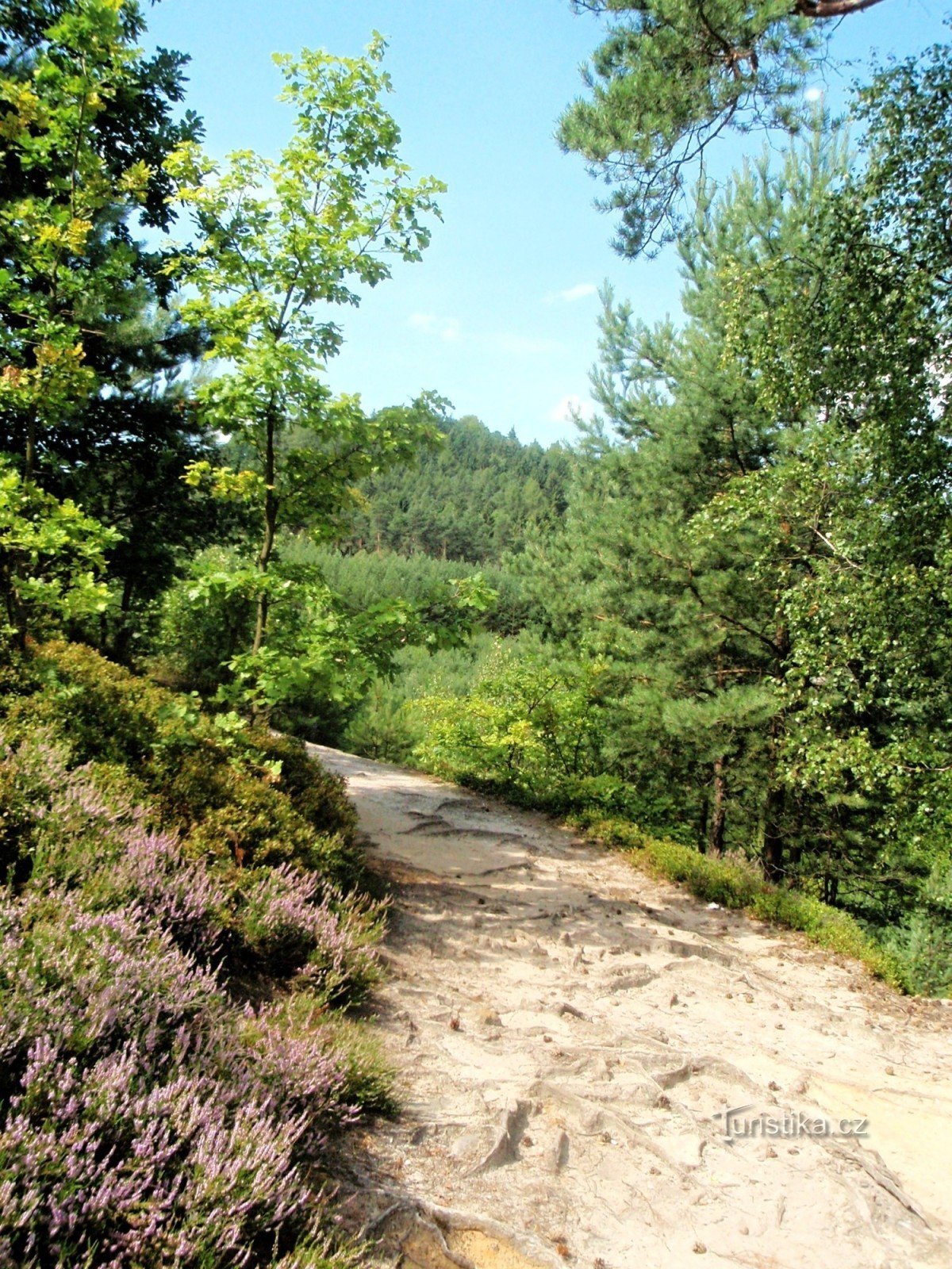 El camino al Salto del Ciervo