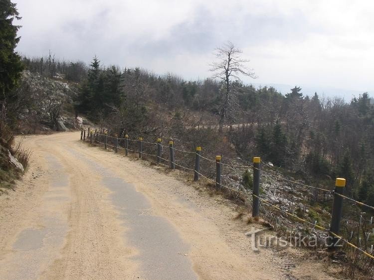 el camino a la lagartija