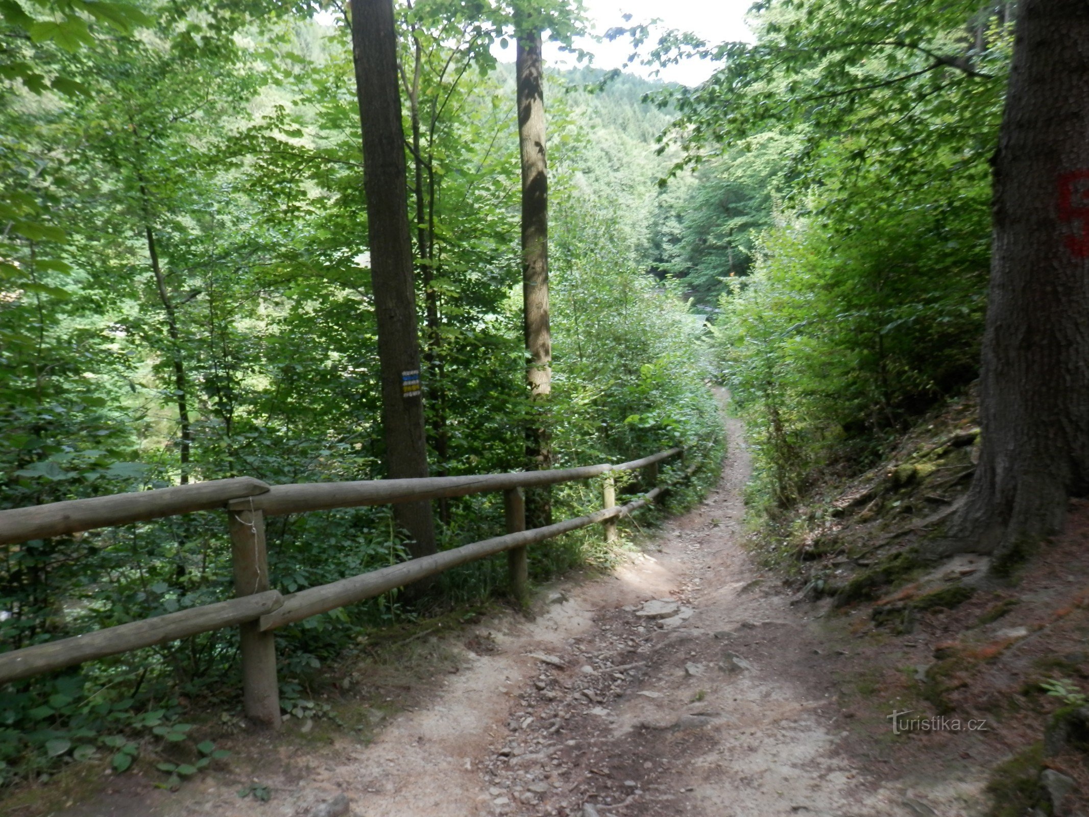 Der Weg zur Fußgängerbrücke 5.8.2014