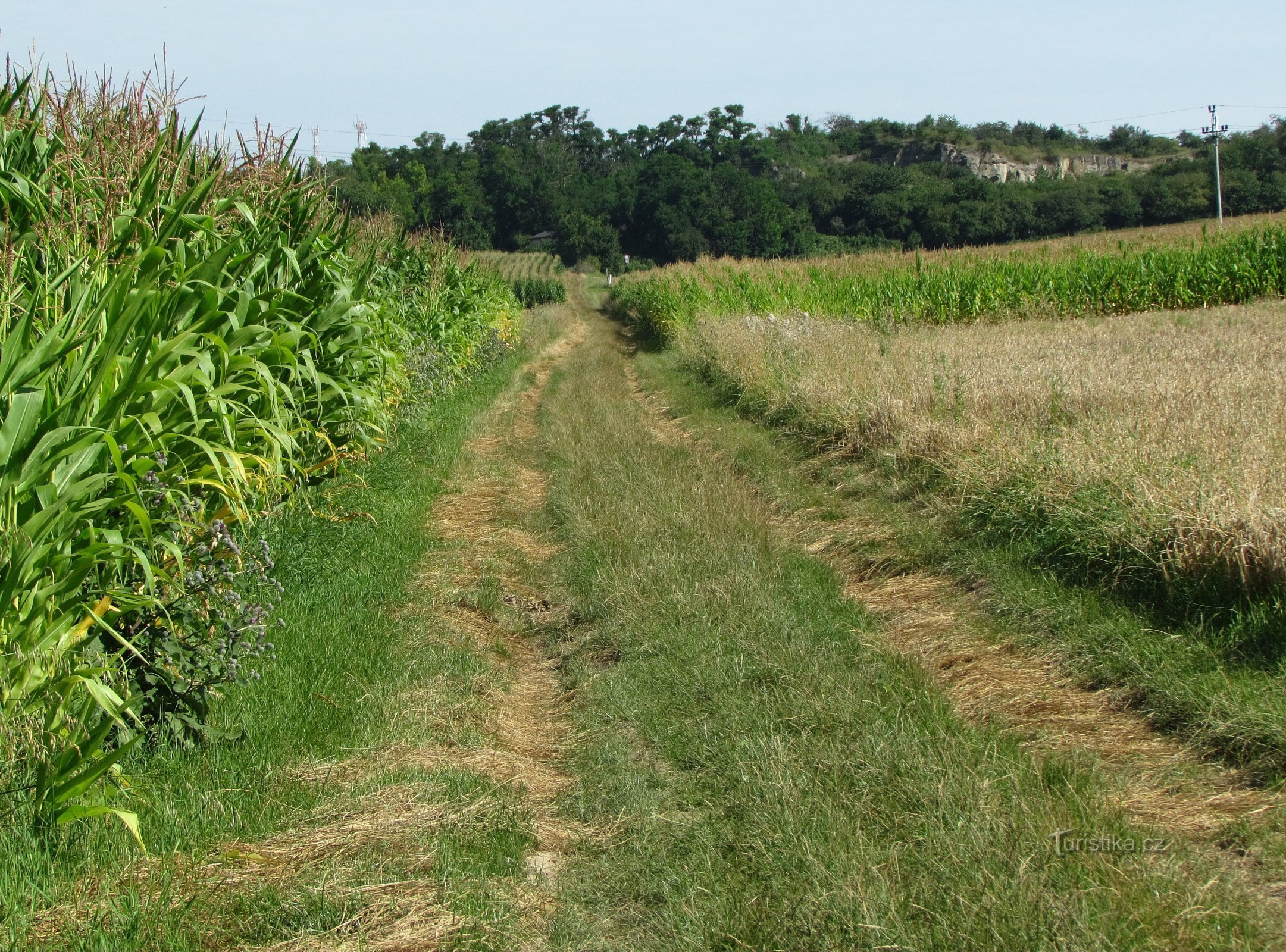 de weg naar de steengroeve