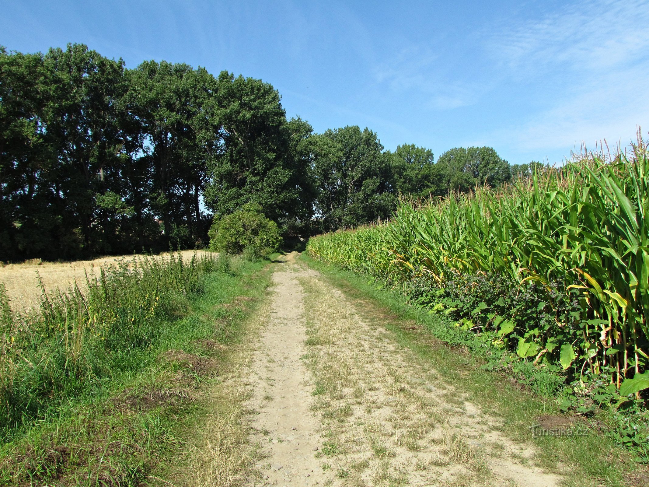 the road to the quarry