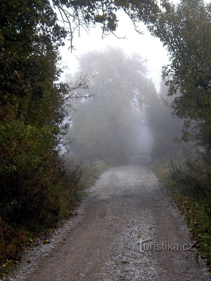der Weg zu den Steinbrüchen im Nebel