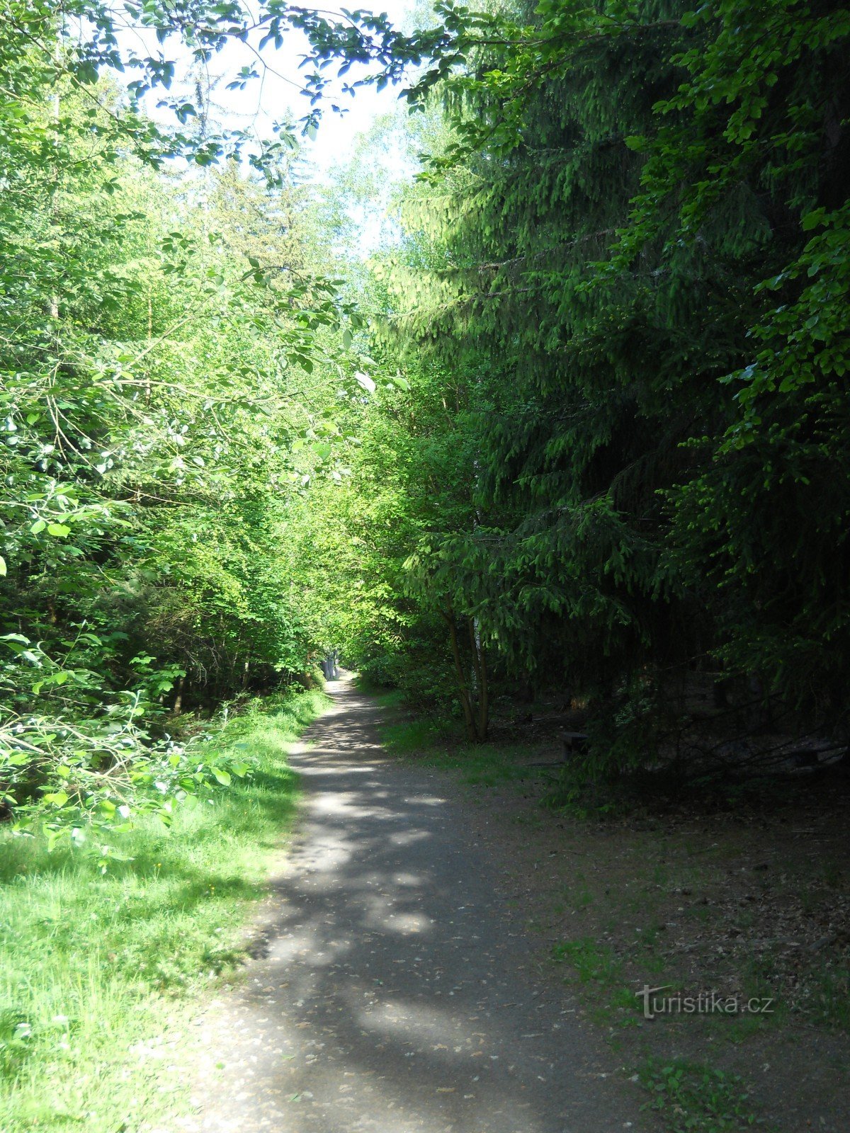 Der Weg zur Bärenquelle