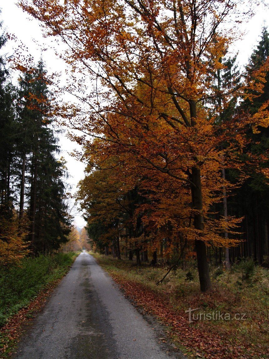 La strada per Mehelnik