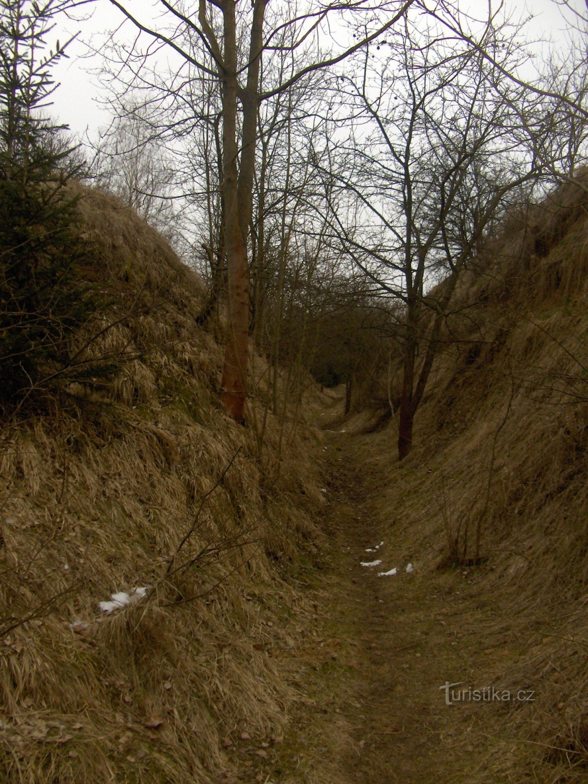 Der Weg zum Menhir