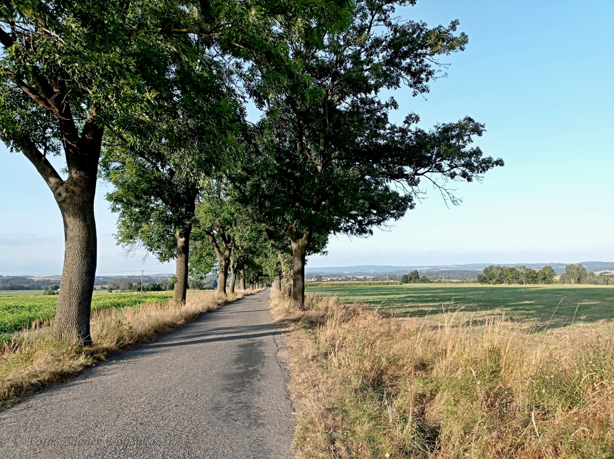 Strada per Miloticky.