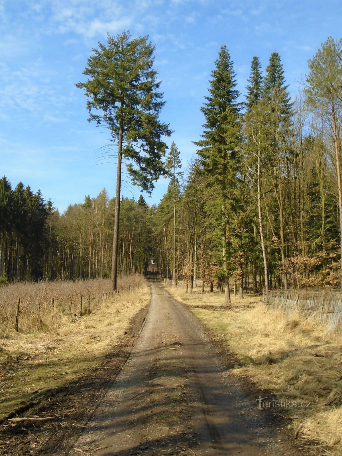 Der Weg nach Nové Přím (Horní Přím, 30.3.2018)