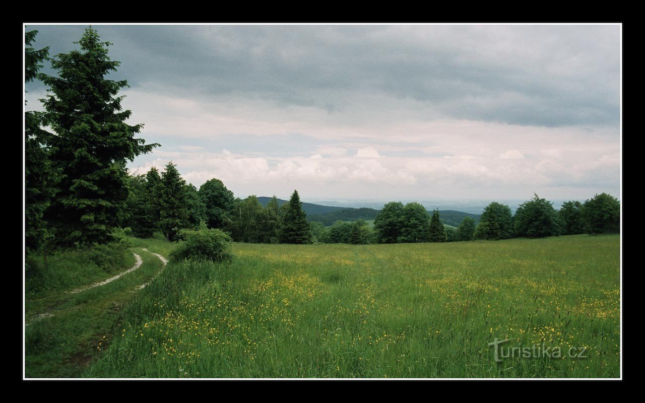 a estrada para Nový Vilémovice