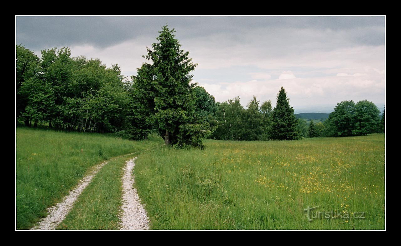 the road to Nový Vilémovice