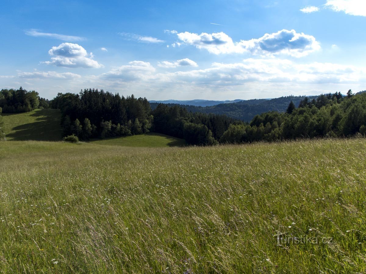 A estrada para Osikovo nos prados de Bratrušov