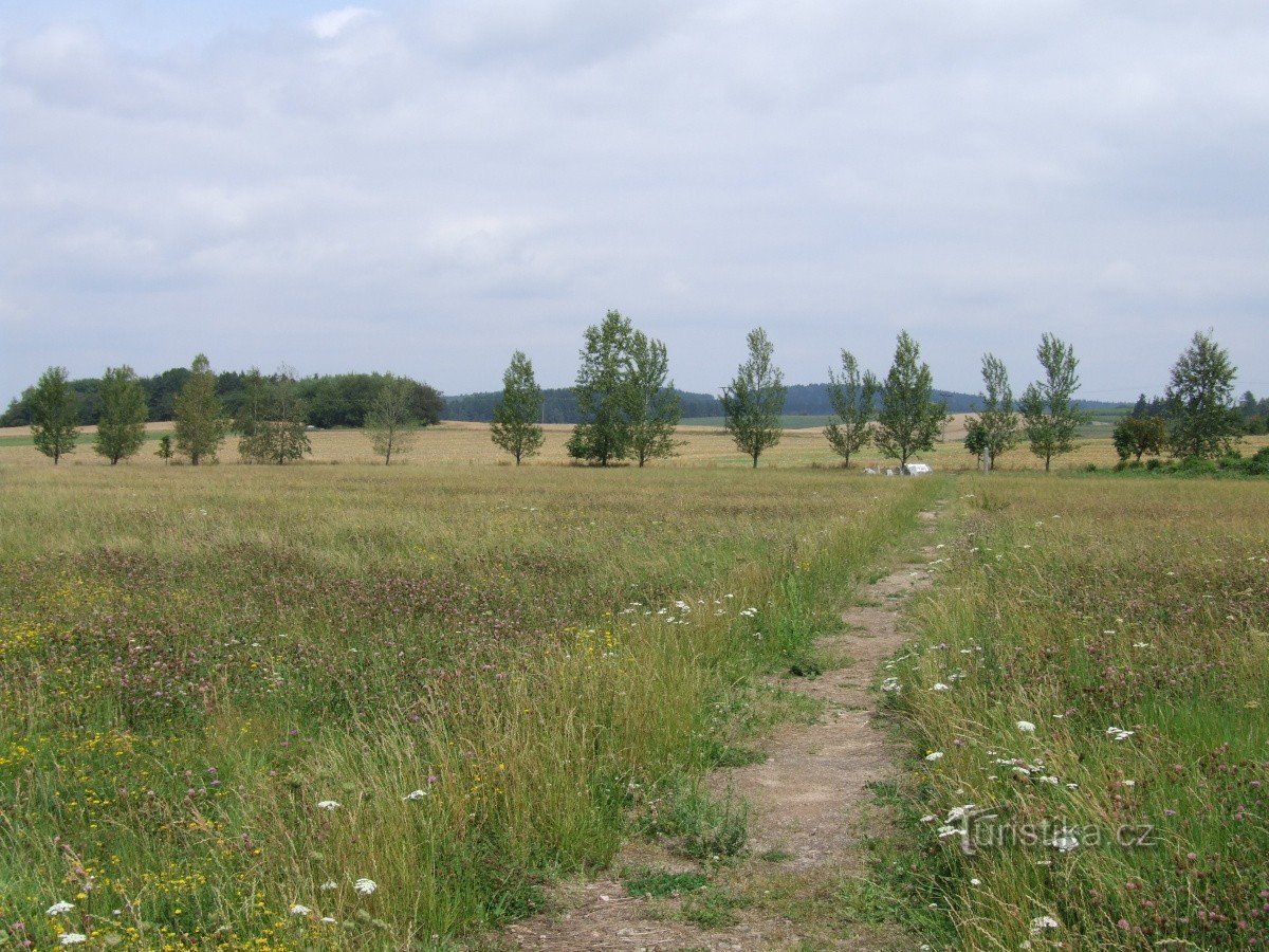 Der Weg zum Denkmal der Schlacht von Jankovo