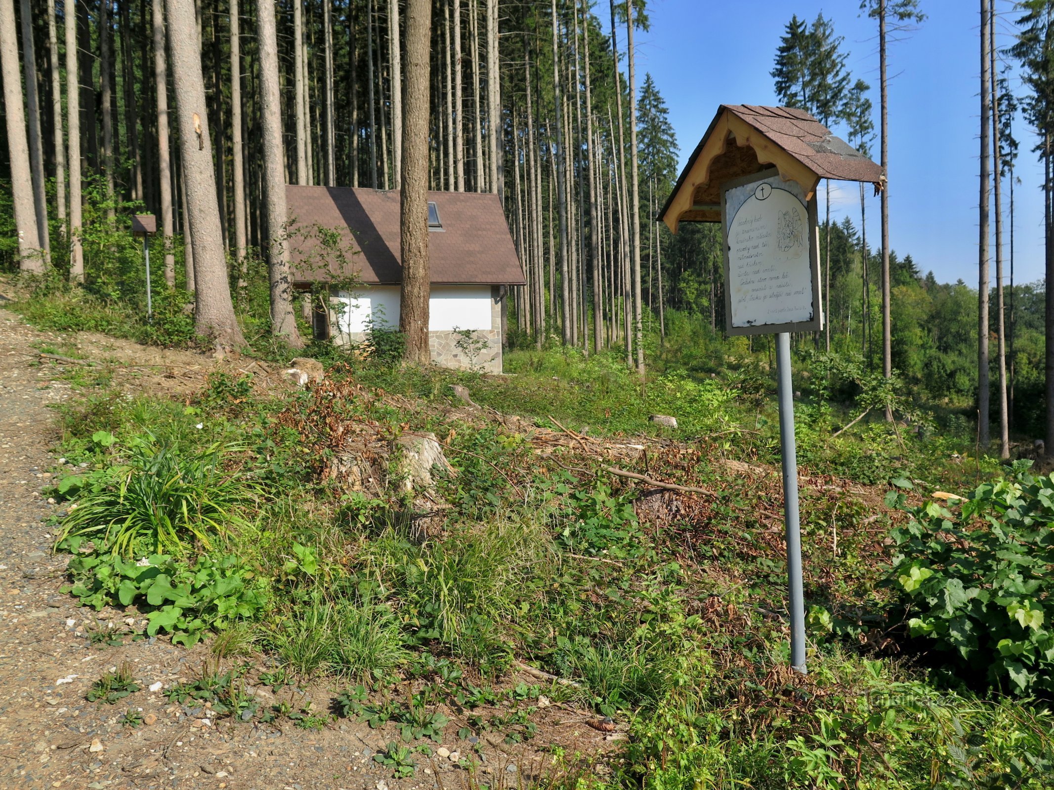 Der Weg zum Frühling