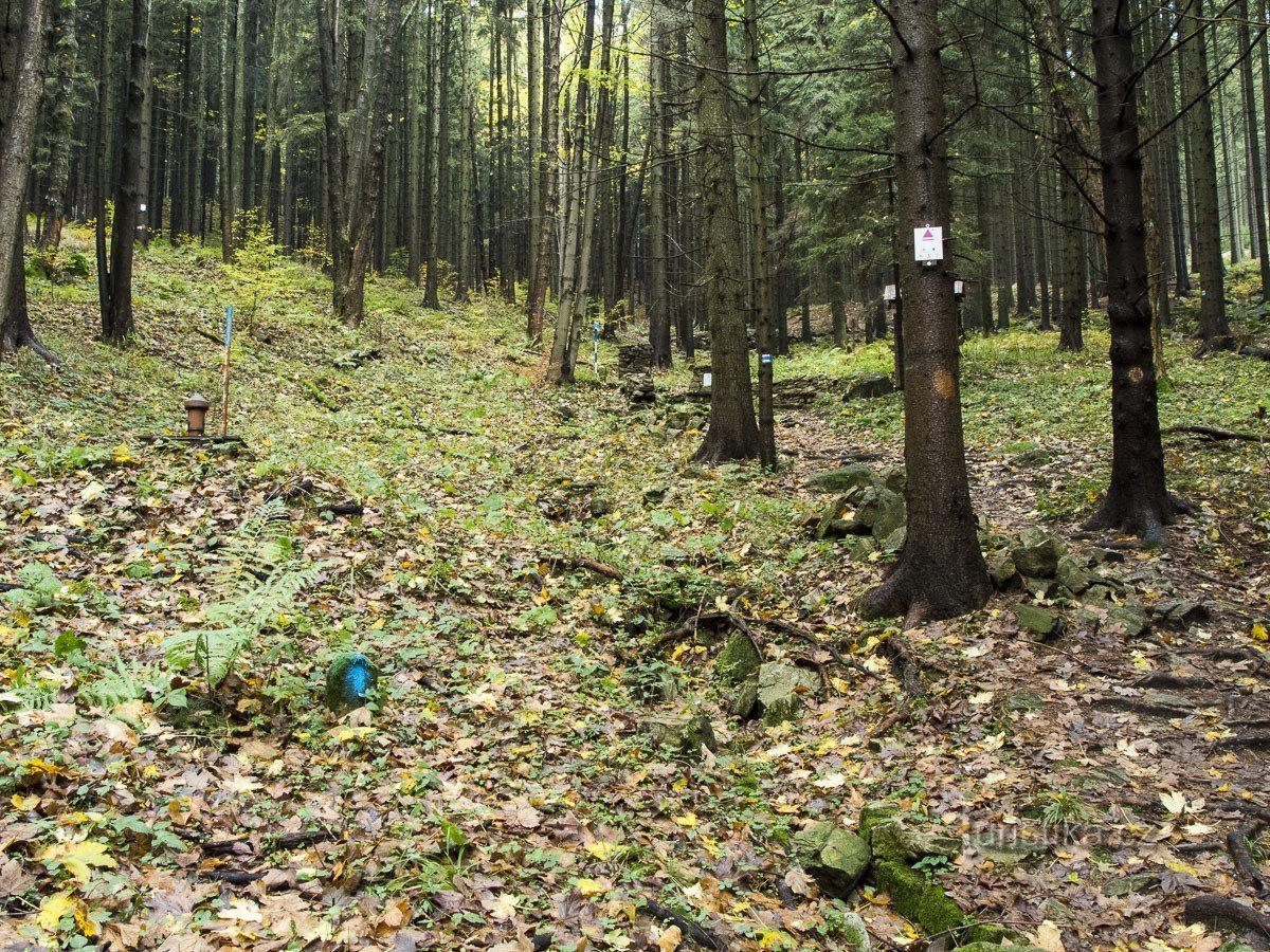 La strada per le sorgenti