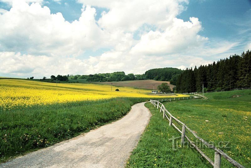 Na sreděčkuの道標からPrůchodnicaへの道