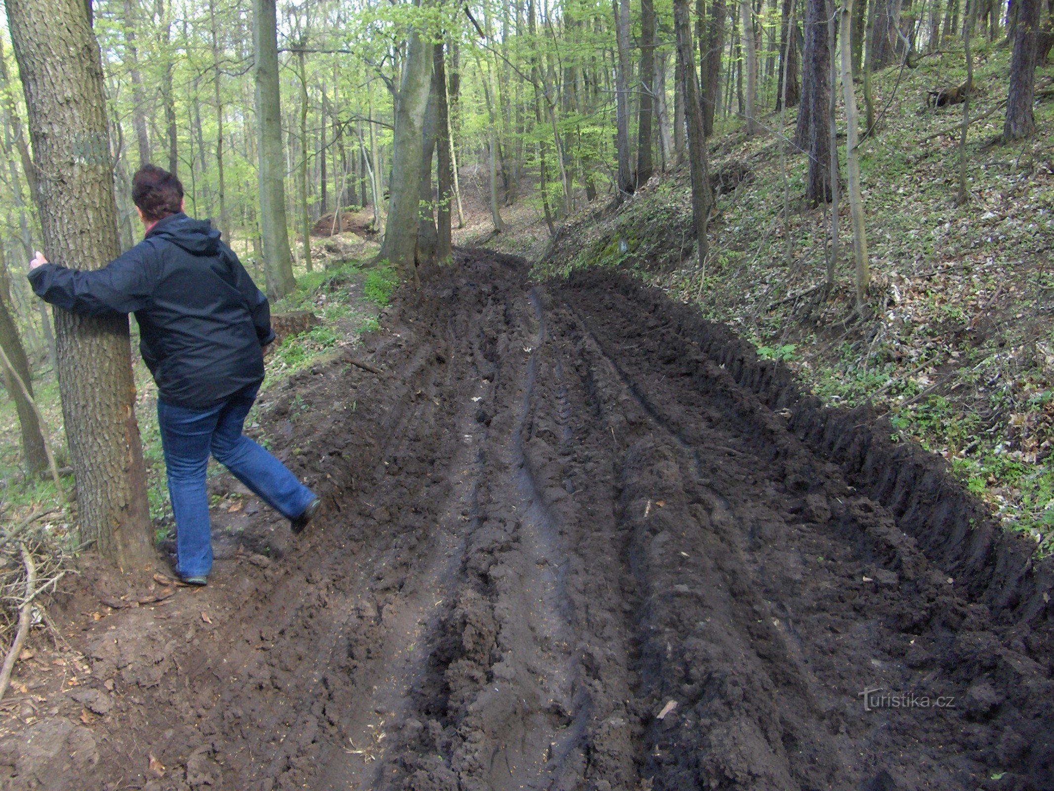 le chemin du Château Déserté