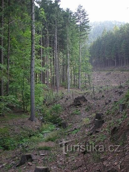 A Pod Dubovicí útkereszteződéshez vezető út