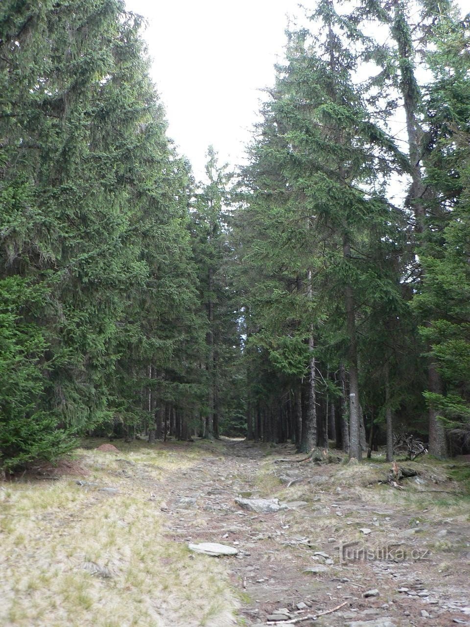 La route du carrefour sous Pancíř