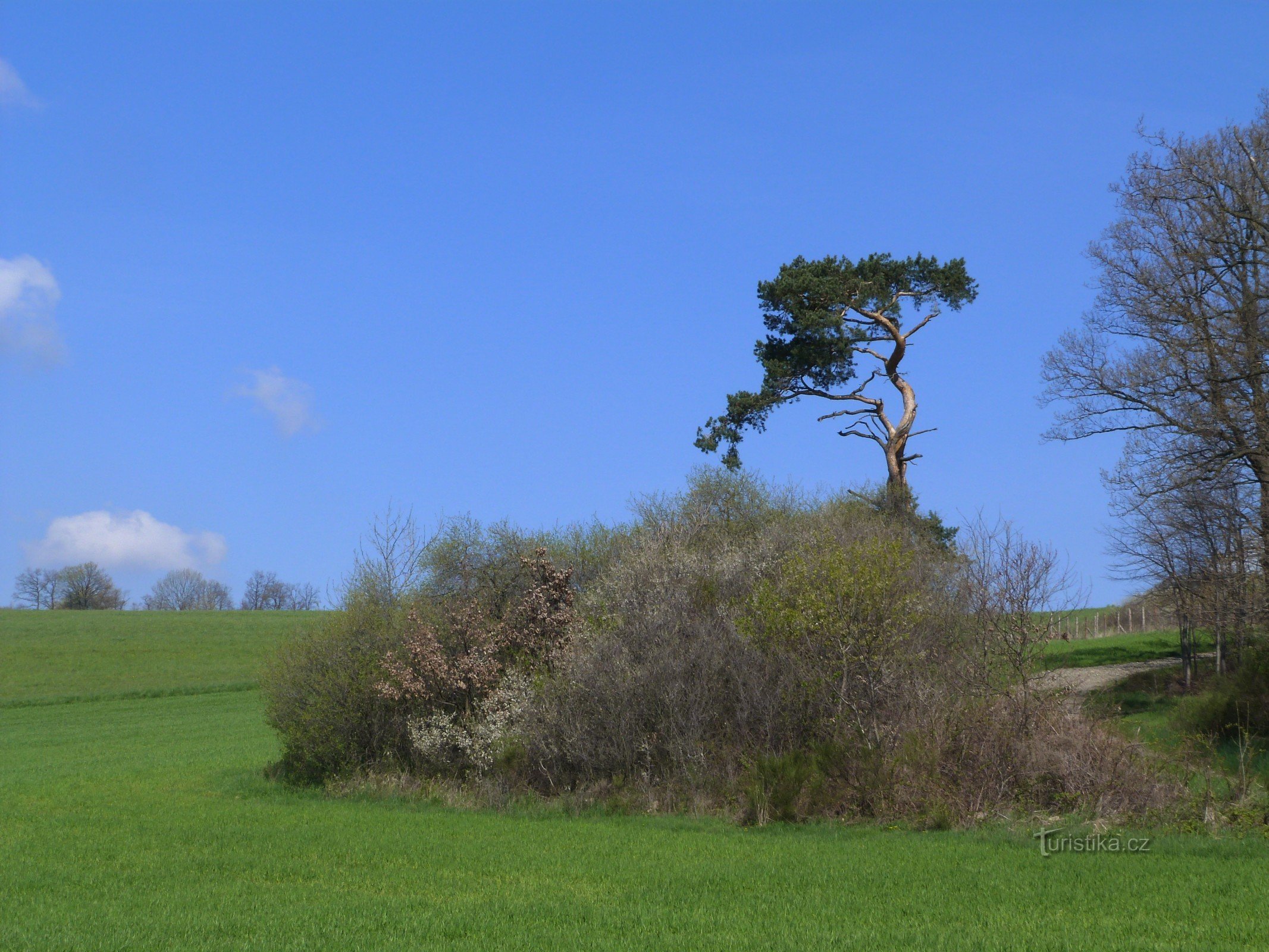 De weg naar de uitkijktoren