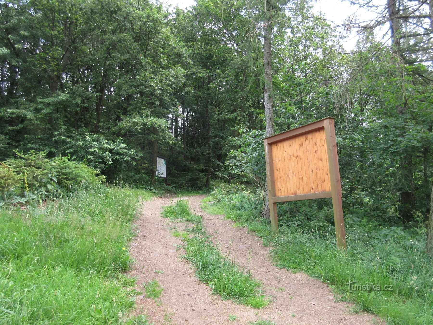 Die Straße zum Aussichtsturm