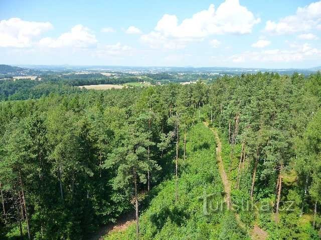 ścieżka na wieżę widokową - widok z wieży widokowej