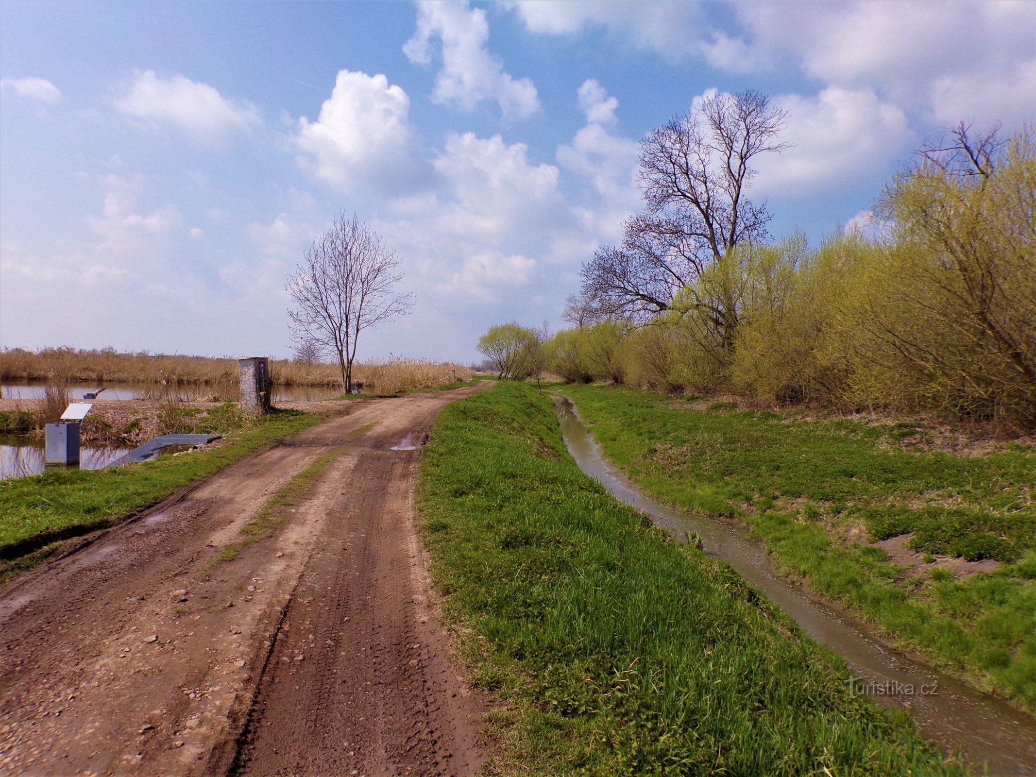 Weg zum Teich Třesické bei Požár (Kosičky, 21.4.2021)