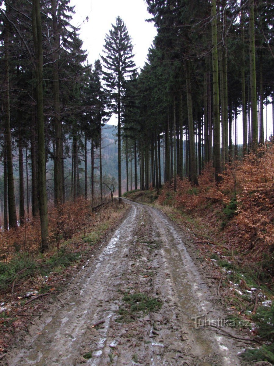 a estrada para Trubiské