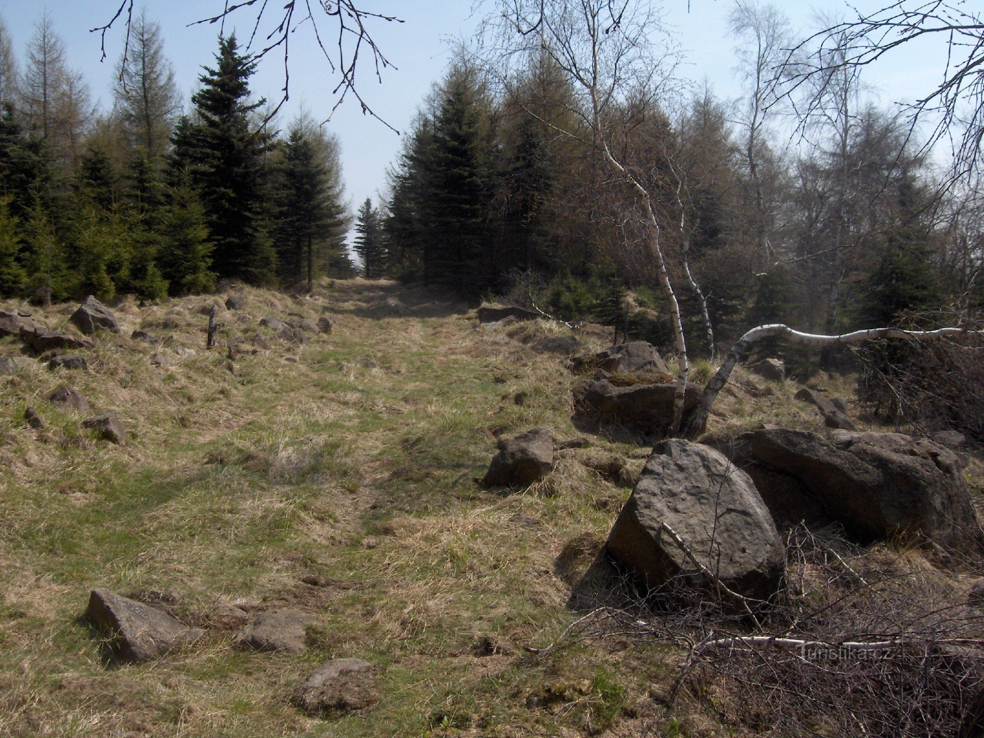 strada verso l'alto