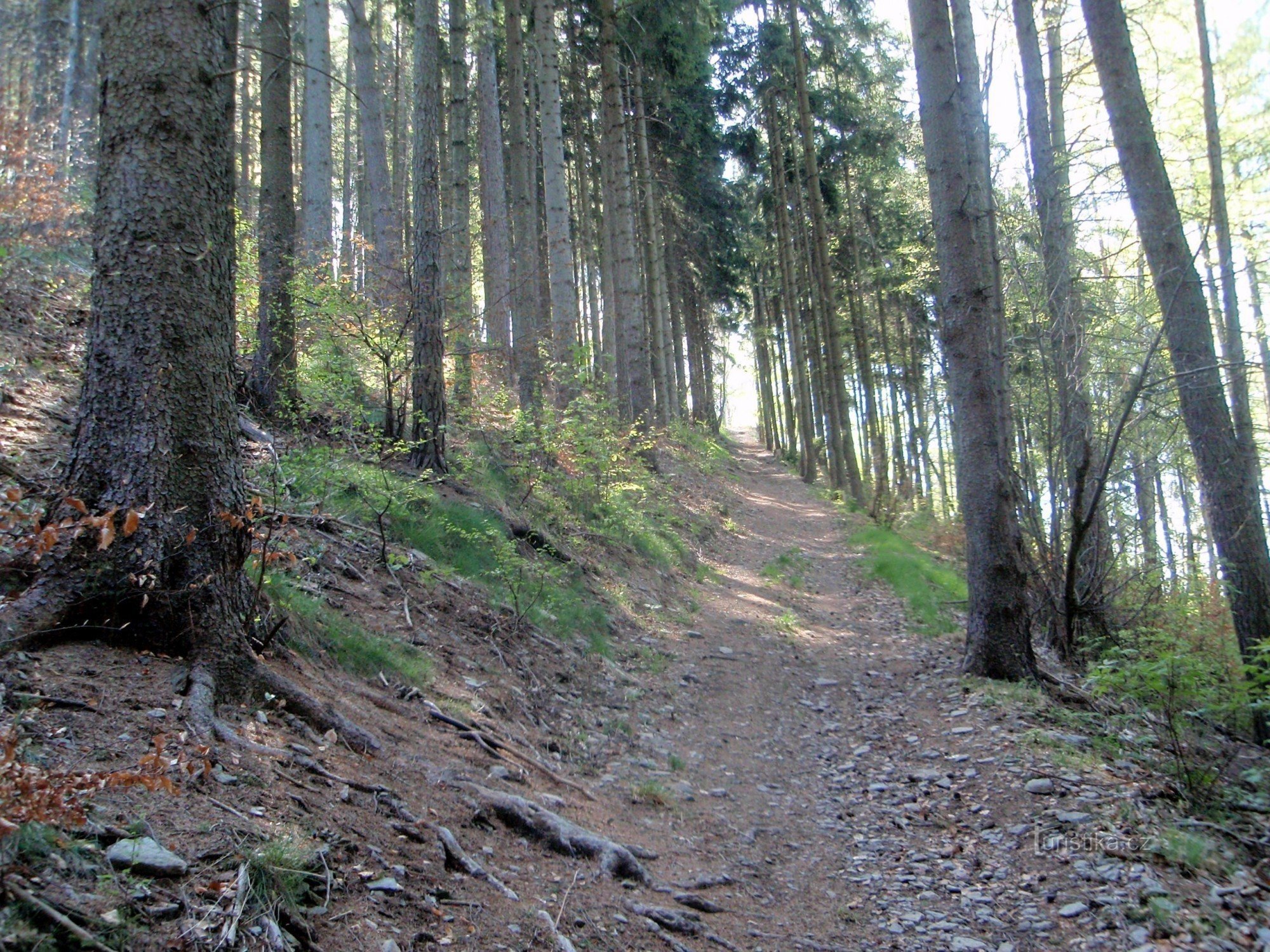 el camino a la cima