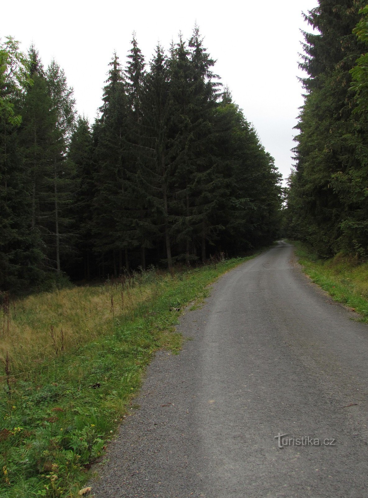 de weg naar de Uitzichten