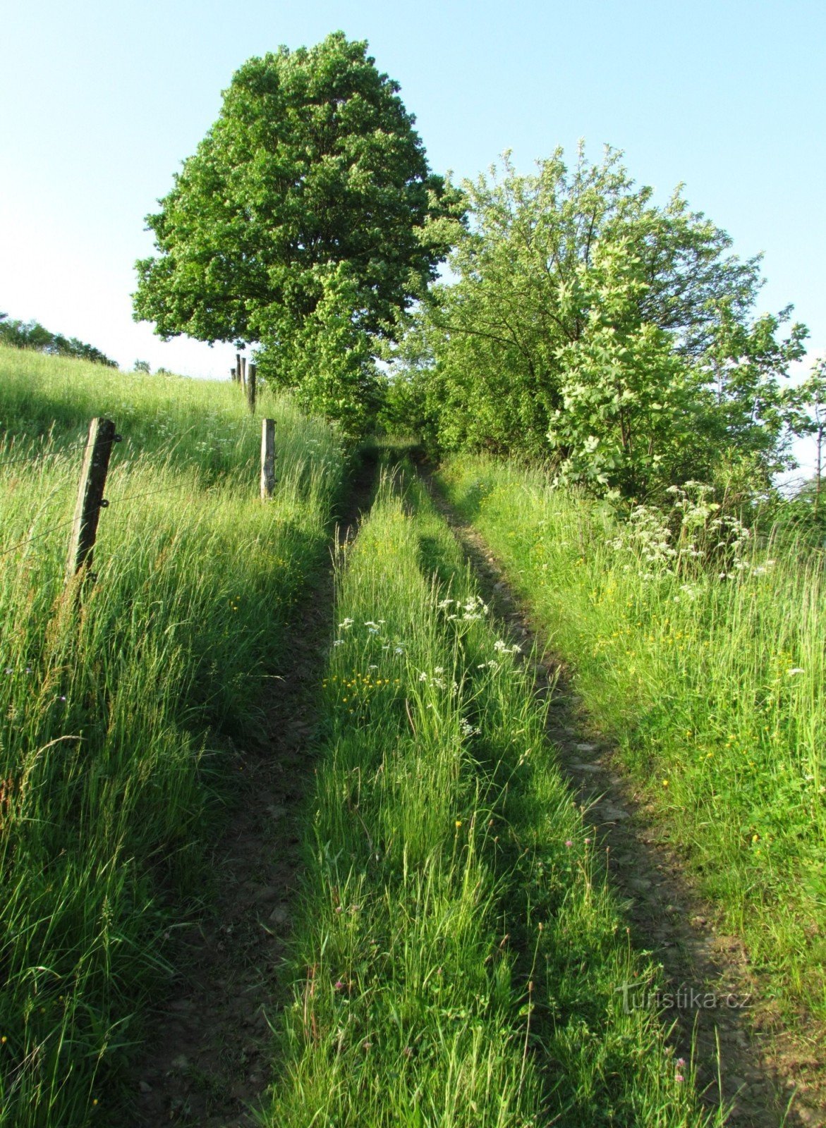 o caminho para o miradouro