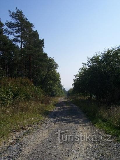 Camino: camino de piedra hacia Fulnek, sendero educativo rojo (antiguo)
